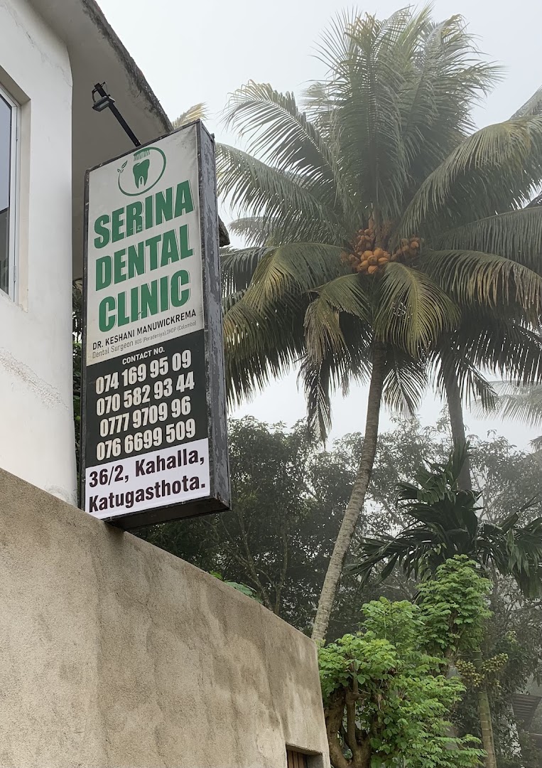 SERINA DENTAL roadside sign beside coconut palms in Katugastota